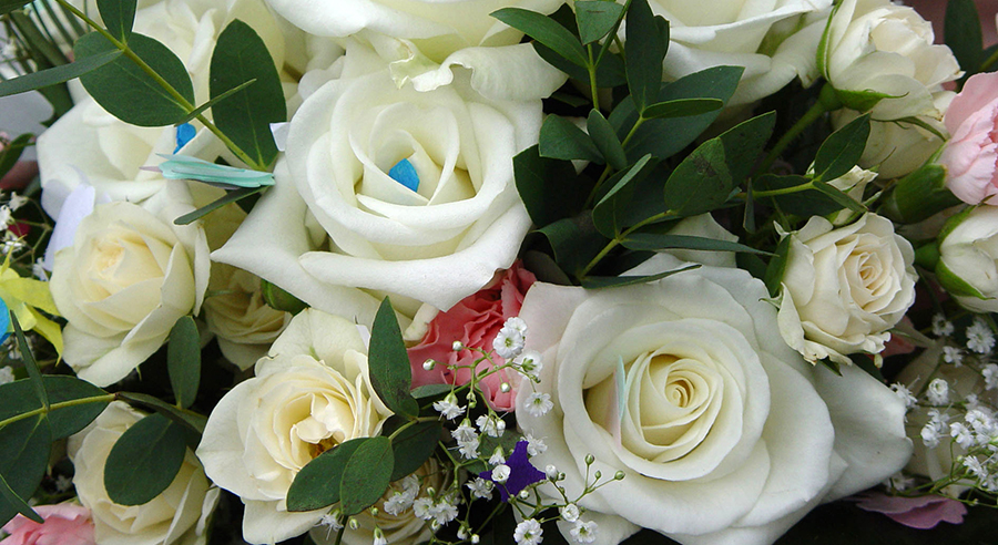 Immagine decorativa per l'articolo Anima Musica... Matrimoni. Foto di fiori di vario tipo